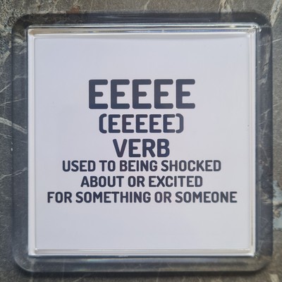 JUMBO NEWCASTLE UPON TYNE GEORDIE SPRUCH EEEEE KÜHLSCHRANKMAGNET