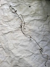 BREMSSCHLAUCH - - Toyota LAND CRUISER (_J7_) 2.4 TD (LJ70_, LJ73_) 2L-T