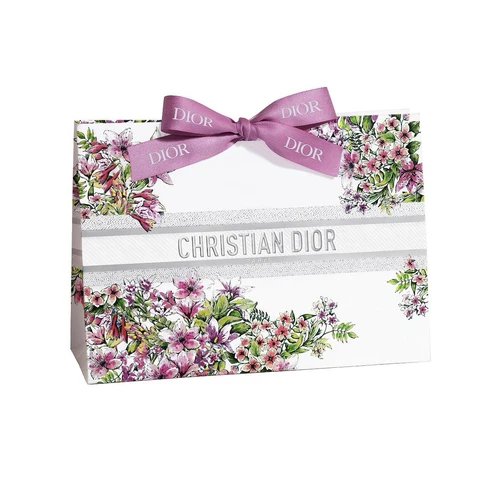 Sac shopping cadeau papier Dior édition limitée 2024 NEUF 10x7