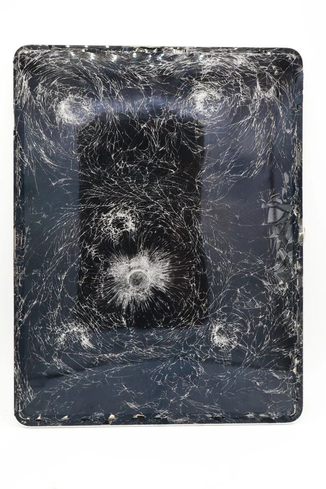 Apple iPad Pro 12,9" 4.Gen Wifi+LTE A2232 Silber DEFEKT #5892