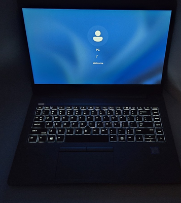 HP ZBook 14u G5, i5-7300U 2.60GHz, 16GB RAM 256GB SSD | eBay