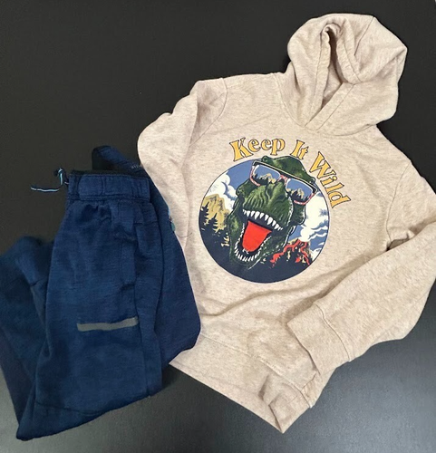 Hoodie Athletic Pant Outfit set Dinosaur Graphic Print Boy Youth Sz S 6/7