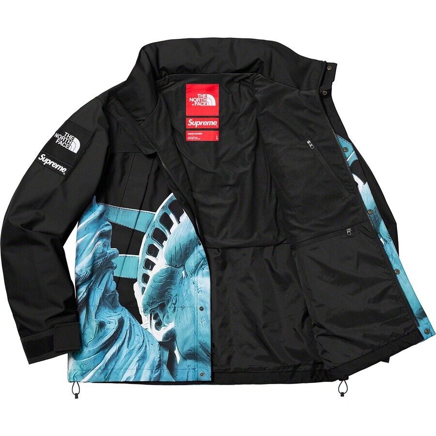 Supreme 19FW The North Face Statue of Liberty Mountain Jacket Black M