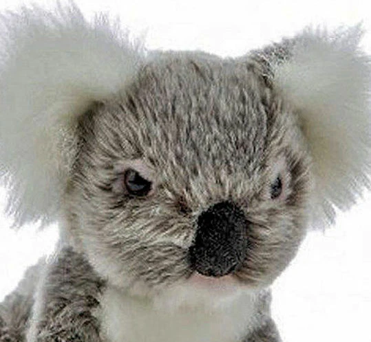 ~❤️~KOALA Petal By BOCCHETTA Plush Animal Soft Toy Sitting 9" 21cm BNWT~❤️ - image 2 of 4