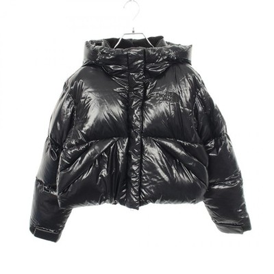 THE NORTH FACE WHITE LABEL Women's Glossy Elberon Rds Cropped Down Jacket Nylon
