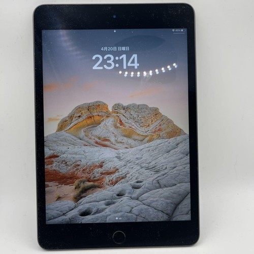 iPad mini wifi model 5th generation m29754071900