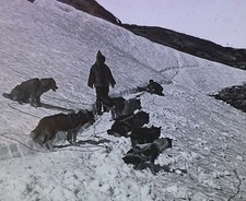 Eskimo Dog Team on Trail, Hopedale, Labrador, c1920's Magic Lantern Glass Slide