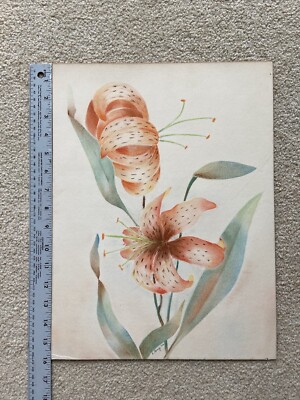 Original Pastel.  TIGER LILIES  .  E. Berg  44 -  beautiful unframed
