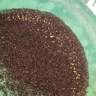 Gold Paydirt 2lbs. CALIFORNIA Motherlode GOLD Guaranteed!! BUY 2 GET 1 FREE   