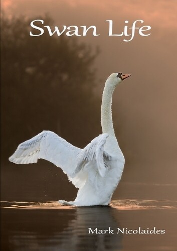 Thumbnail - Mark Nicolaides Swan Life (taschenbuch)