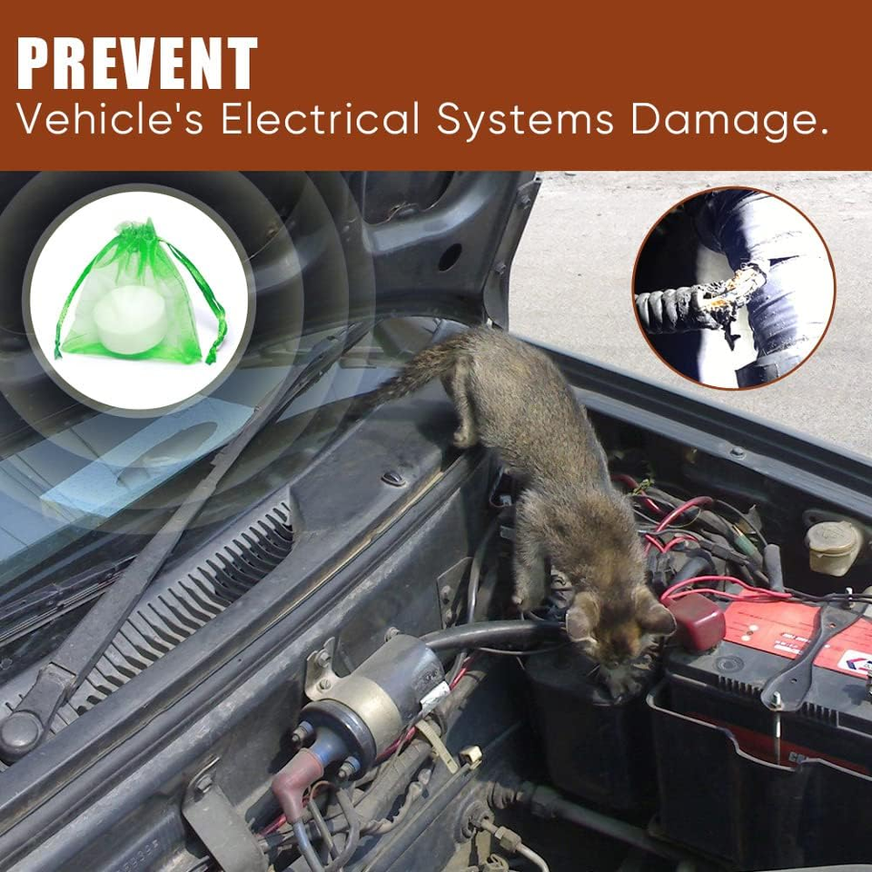 4 Pack Squirrel Repellent Peppermint Garlic Keep Squirrel Engines Roof