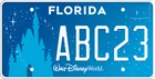 Custom Florida License Plate - WALT DISNEY WORLD / P207
