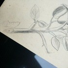 Picture 6 of 10