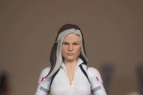 1/12 Marvel Legends Movie X-men Rogue custom painted head