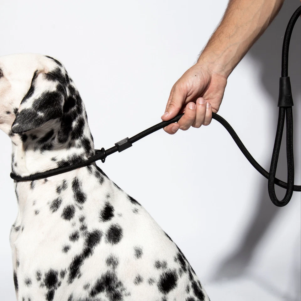 Zee.Dog | Correa para perro de entrenamiento negra sin cordones Gotham | Cuerda deslizante para perro | 2 en 1 Foto 4 de 4
