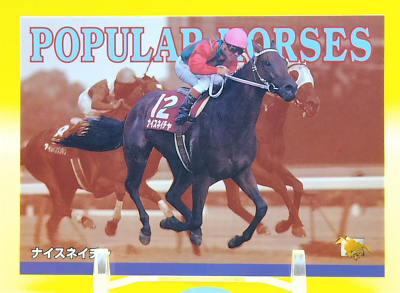 Nice Nature / Thoroughbred Horse Racing Card Vintage TCG BANDAI