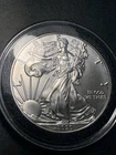 2020 American Silver Eagle 1 oz .999 Fine Silver $1 Bullion Coin BU