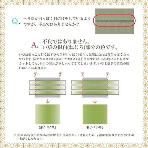 Alfombra japonesa de tatami Rush alfombra de hierba alfombra Goza Igusa beige IKEHIKO - Imagen 6 de 19