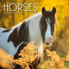 Carousel Calendars,  Horses 2026 Wall Calendar, 12.01'' X 12.01'', 16-Month Cale