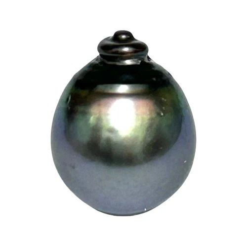 Enormous 12.5 x 15.8mm 15.6 Carat Tahitian South Sea Peacock Pearl Un-Drille