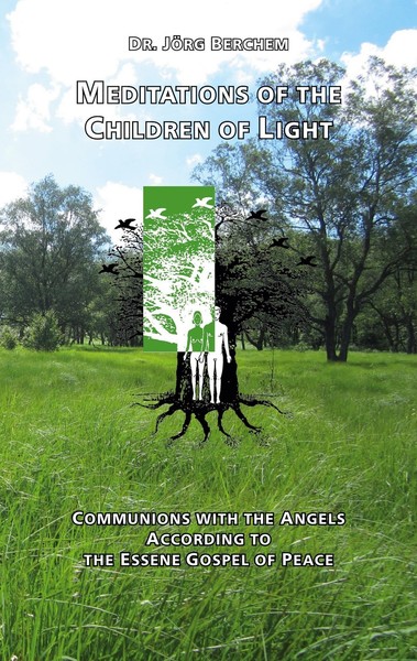 Meditations Of The Children Of Light JöRg Berchem-image
