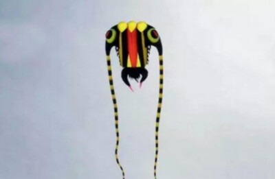 3D 10.5 M 1 Line Stunt Parafoil Trilobites POWER Sport Kite outdoor toy