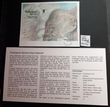 GB Guernsey 2010 Commemorative Stamps~Asian Elephant~M/S~VFU~on piece~ex fdc