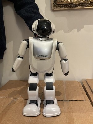 Palmi gehender Kommunikationsroboter - kann nur Janpanesisch verstehen und sprechen
