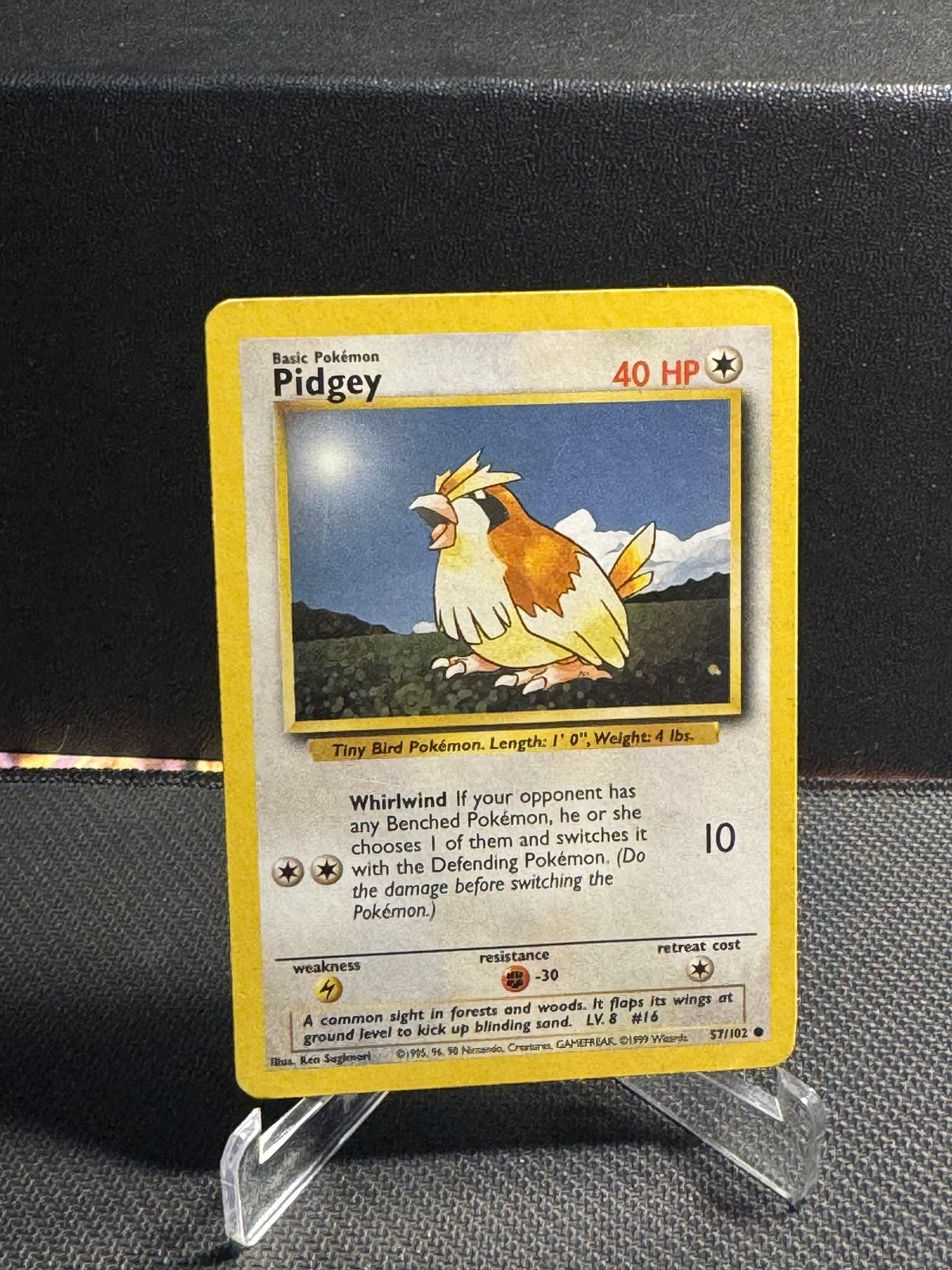 Expansion Pack Pidgey