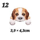 Bild 13 von 21