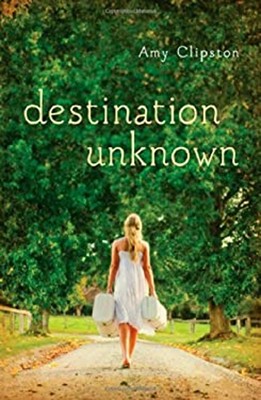 Destination Unknown Paperback Amy Clipston
