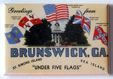 Greetings from Brunswick Georgia FRIDGE MAGNET travel souvenir "style B"