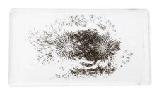 Magnetic Field Demonstration, Pack of 10