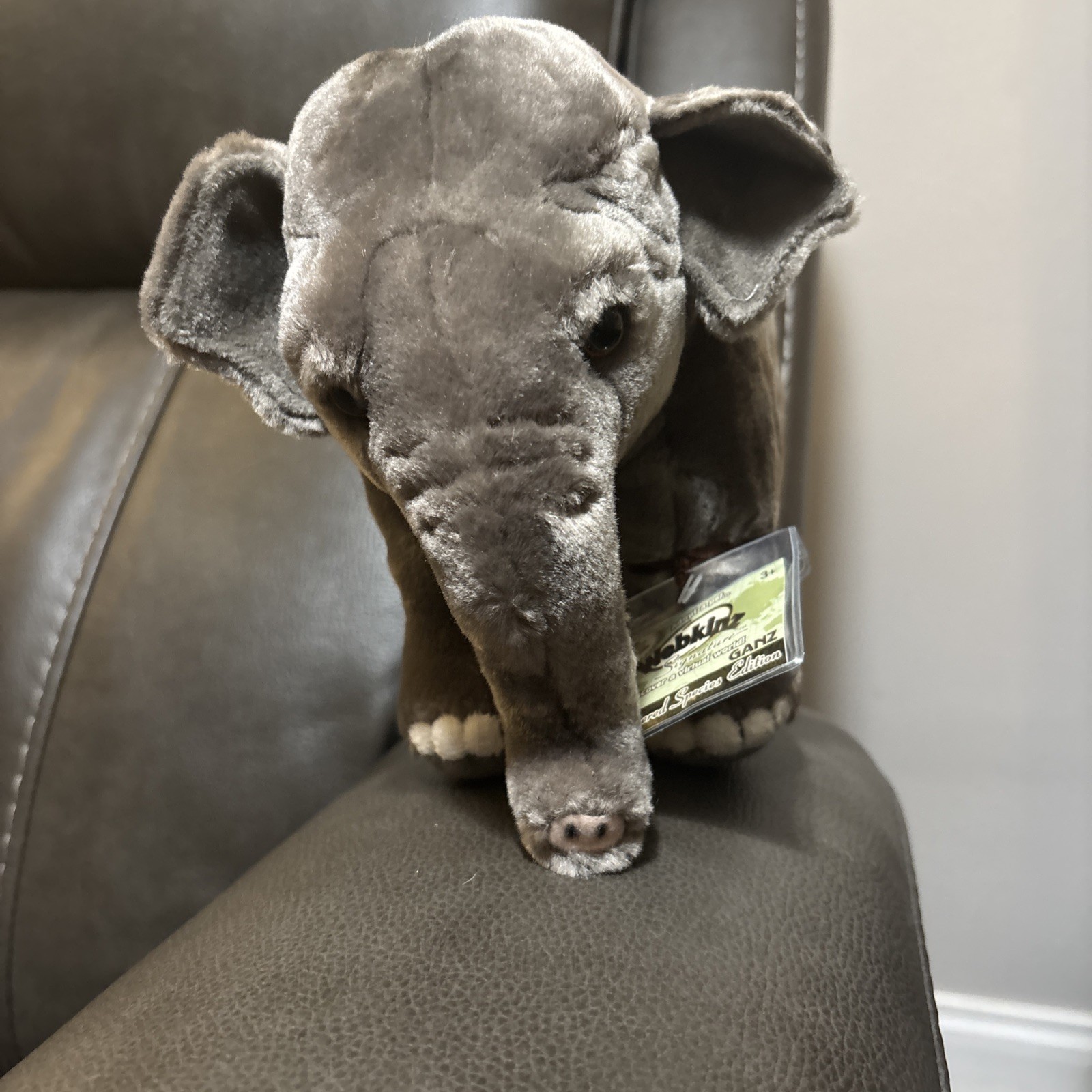 Webkinz Endangered Asian Elephant WKSE3000.  New With Code!