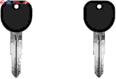 Transponder Ignition Car Key for 2008 Saturn Vue Chip ID 46 Part B114 Pack of 2
