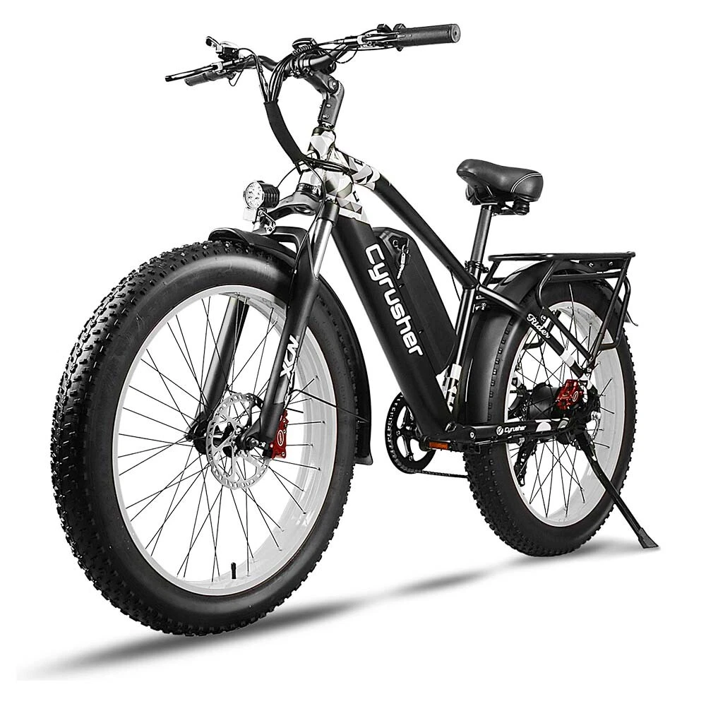 Entry level on sale electric bike