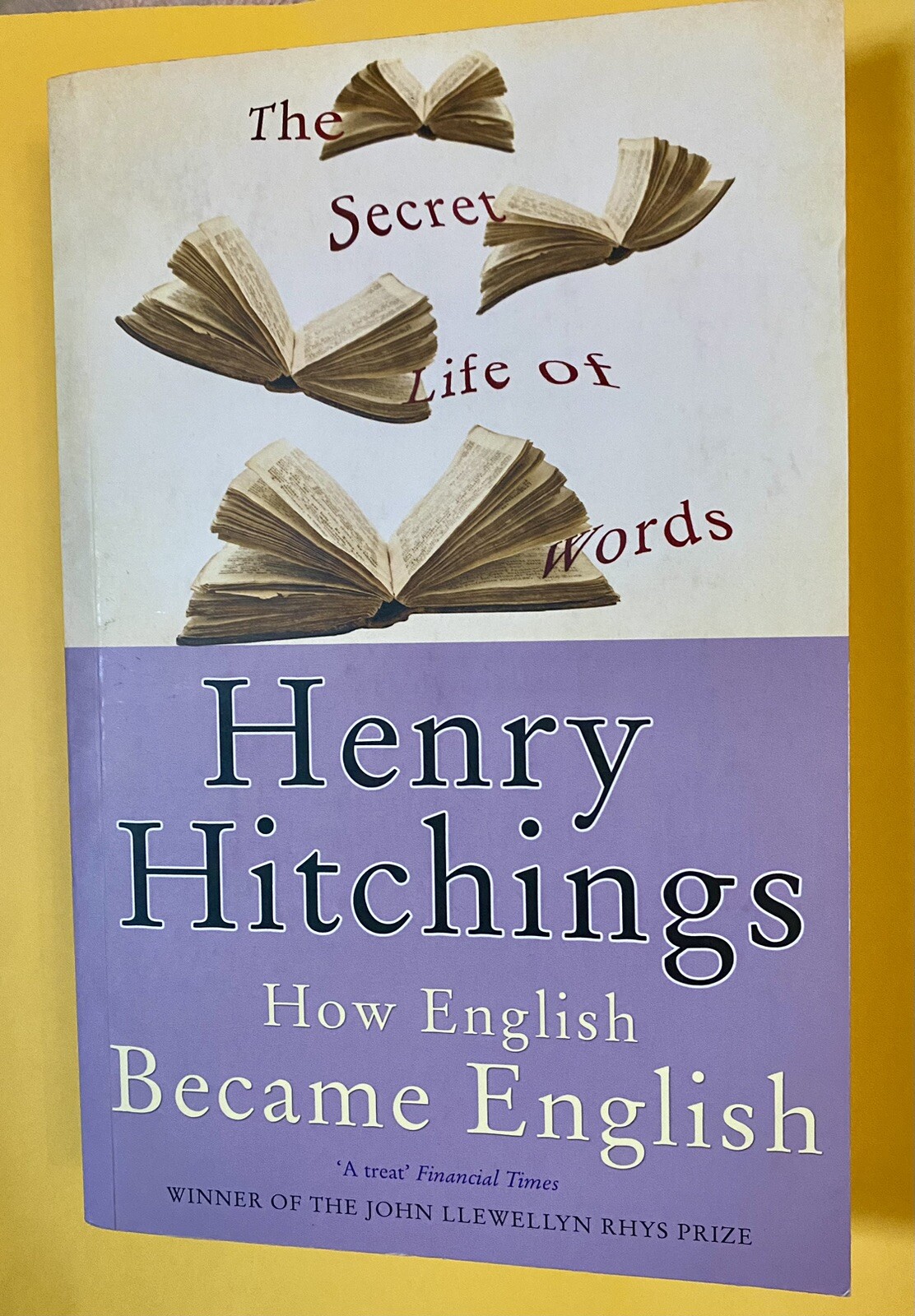 The Secret Life of Words by Henry Hitchings (Paperback, 2009)