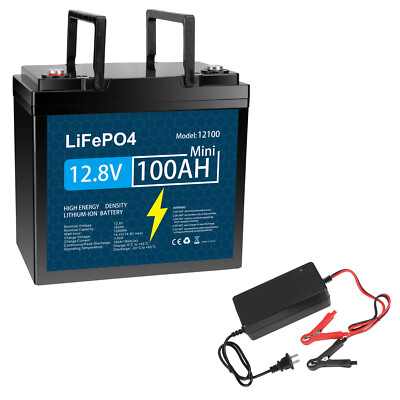12V 100Ah LiFePO4 Lithium Battery with Charger, Built-in 100A BMS, for Golf Cart