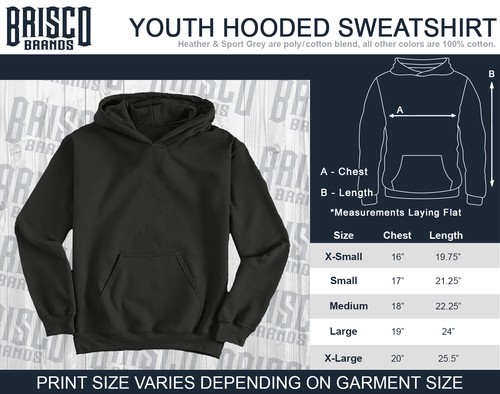 They Hate U.S Cuz They Ain't U.S. Washington Youth Hooded Sweatshirt Boy or Girl - Picture 6 of 7