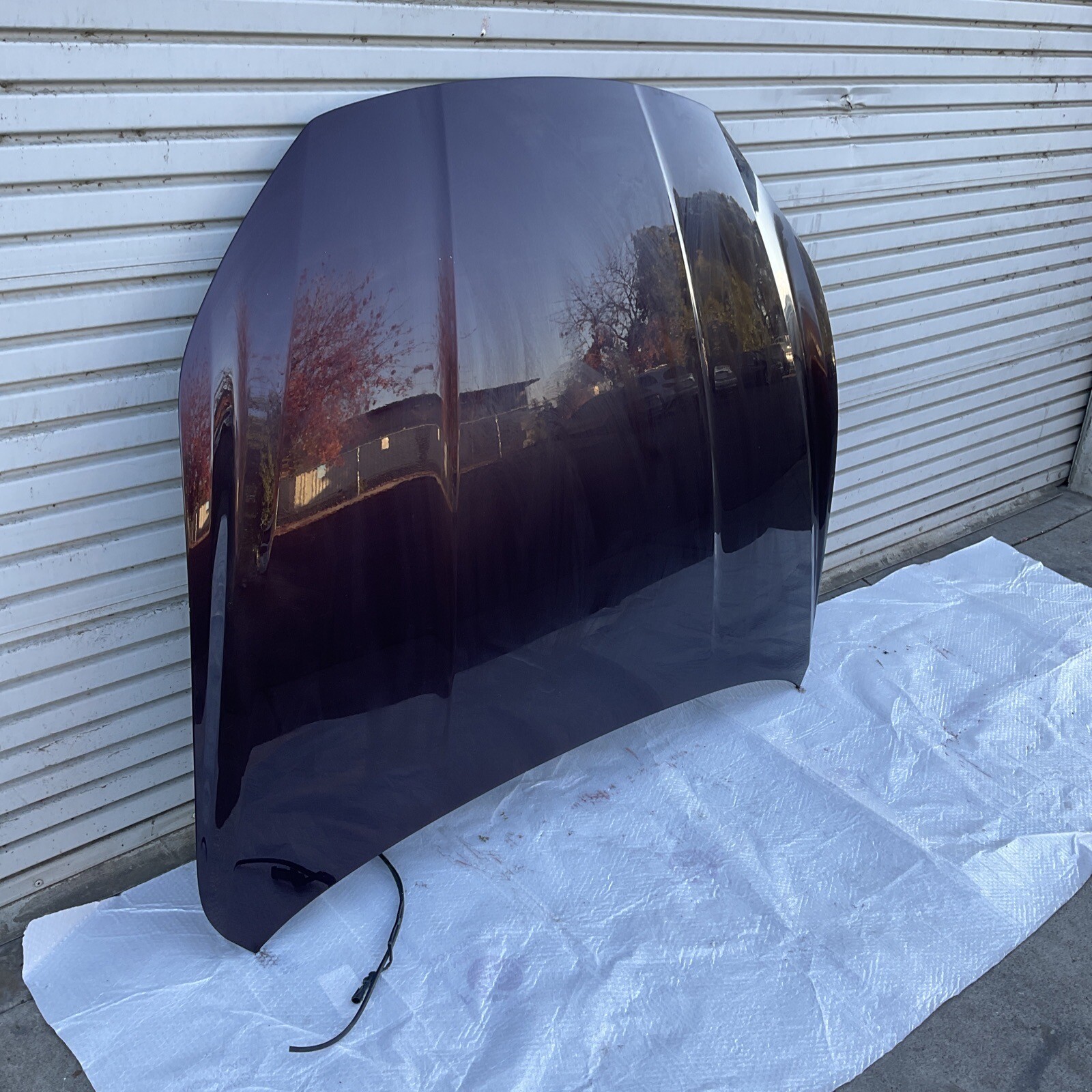 2014-2020 Maserati Ghibli SQ4 Hood  Purple OEM