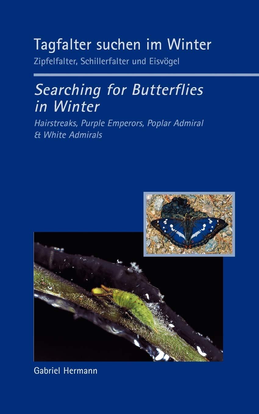Thumbnail - Tagfalter Suchen Winter / Searching For Butterflies In Winter Von
