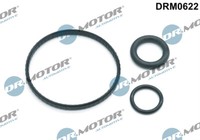 Dr.Motor Automotive DRM0622 Dichtungssatz, ÖL KüHler FüR Dacia, Nissan, Renault