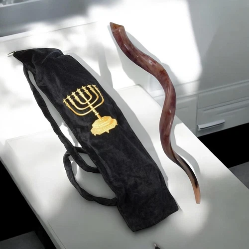 SHOFAR Large 36" Kudu Yemenite Horn Kosher All Polished KOSHER From Israel + BAG