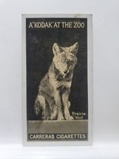 Carreras Cigarette Card, Kodak At The Zoo, #25 Prairie Wolf (RD14)