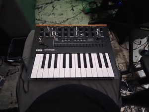 Korg Monologue | eBay