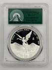 2021 Mexican Silver Libertad 1 oz — photo from another recent sale