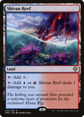 MTG Shivan Reef  - Dominaria United #255