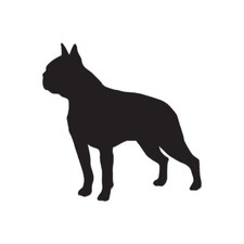 Boston Terrier Dog - Vinyl Decal Sticker - Multiple Color Sizes - ebn1926