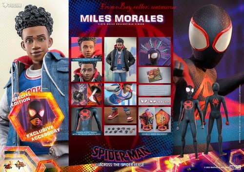 Hot Toys 1/6 Mms710b Spider-Man Across The Spider-Verse Miles Morales Deluxe Ver - Picture 17 of 18