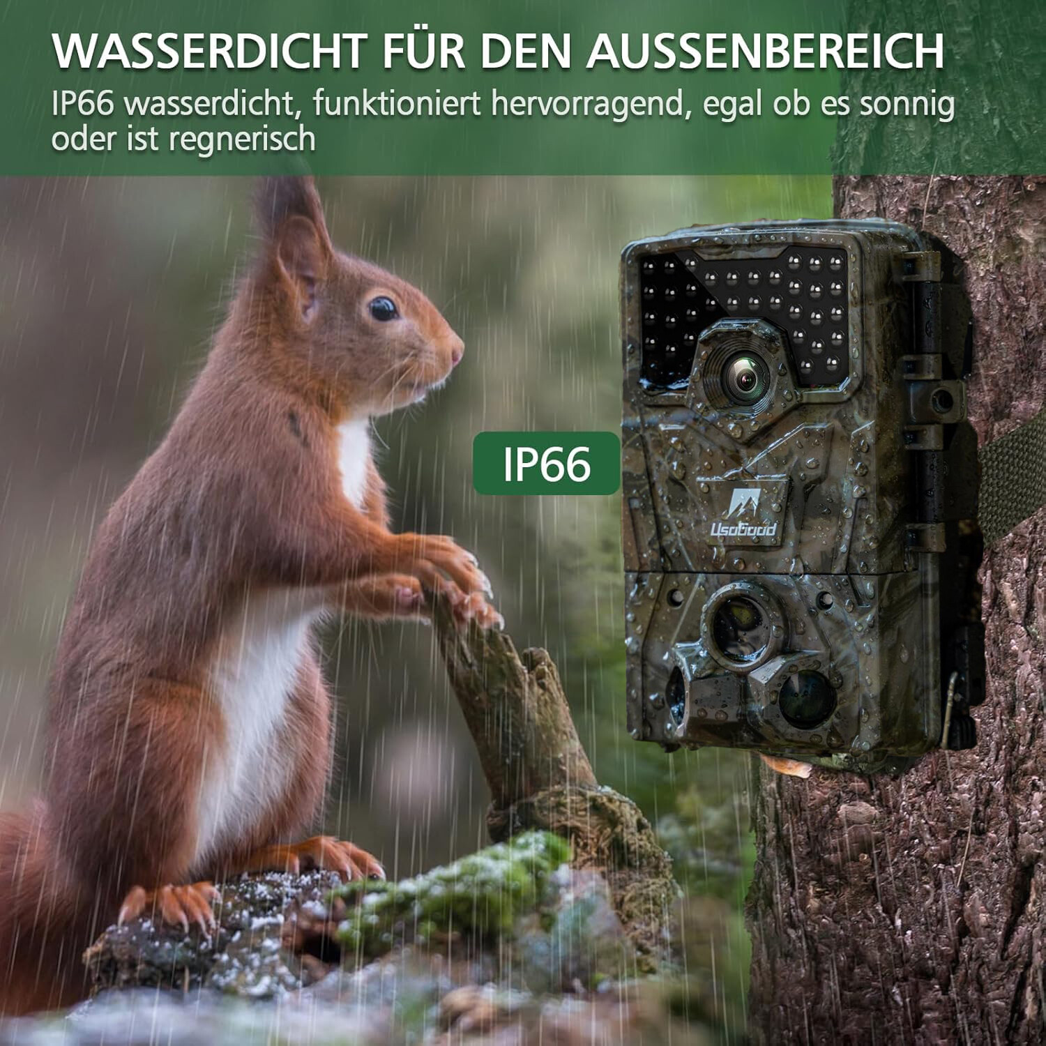 Bild 20 von 28